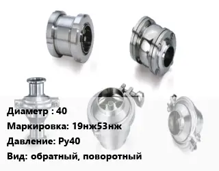 Клапан нержавеющий 40 19нж53нж Ру40 обратный, поворотный